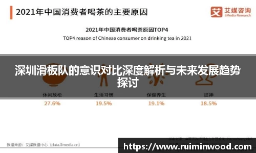 深圳滑板队的意识对比深度解析与未来发展趋势探讨