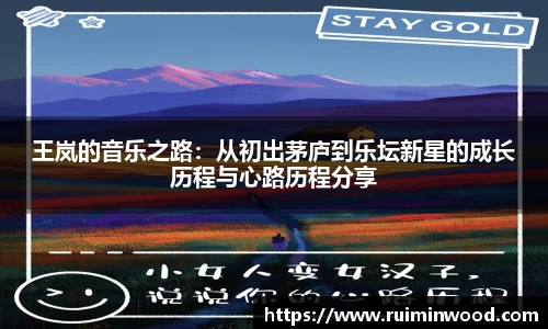 王岚的音乐之路：从初出茅庐到乐坛新星的成长历程与心路历程分享