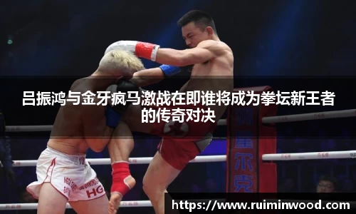 XK星空体育